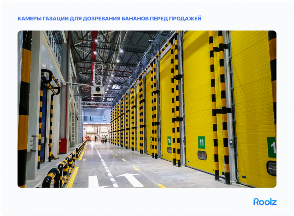 хранение овощей и фруктов (бананы)