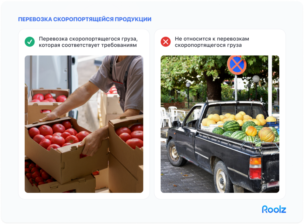 правила перевозки фруктов